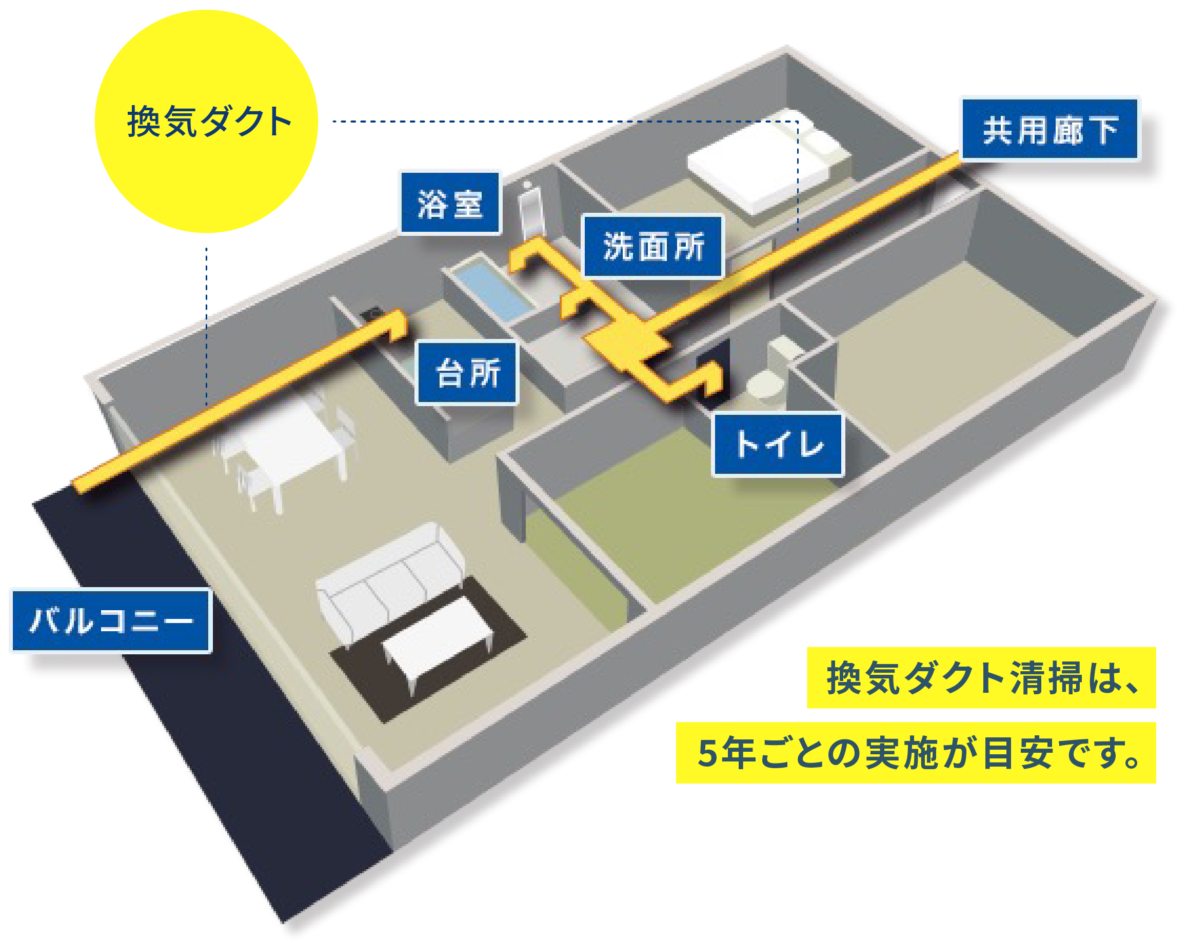 アパートの間取り図。黄色で表示された換気ダクトのシステムが、浴室、洗面所、台所、トイレ、バルコニー、共有廊下下を通っています。黄色のテキストボックスには「換気ダクト清掃は、5年ごとの実施が目安です」と書かれています。